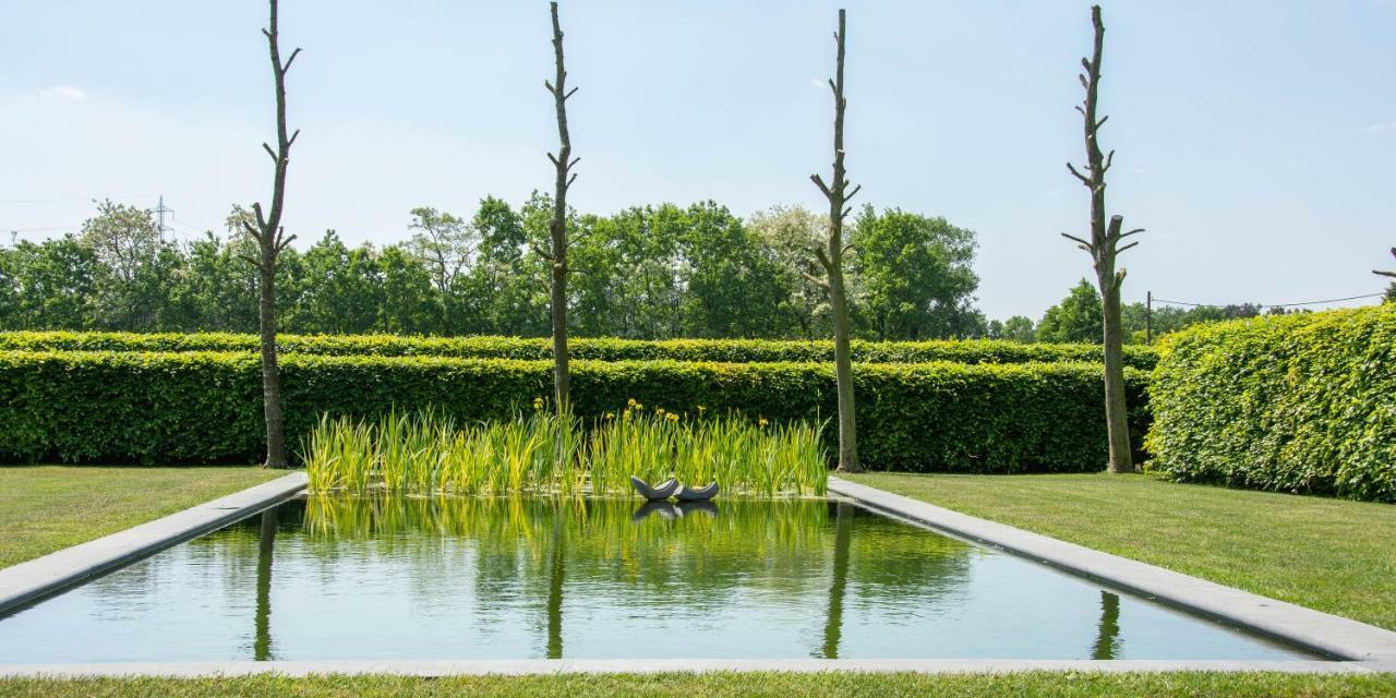 B&B De Grote Kievit Geel Esterno foto