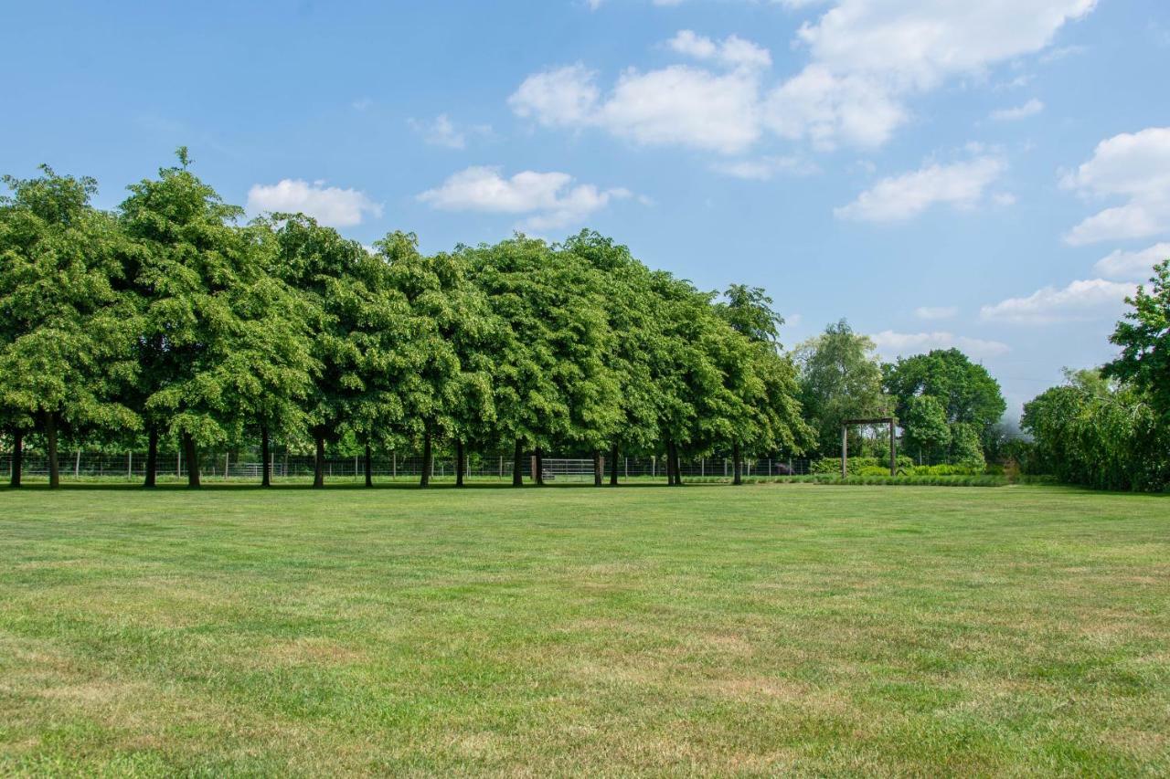B&B De Grote Kievit Geel Esterno foto