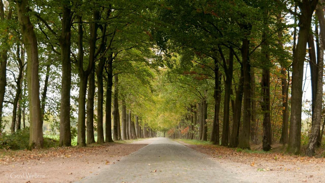 B&B De Grote Kievit Geel Esterno foto