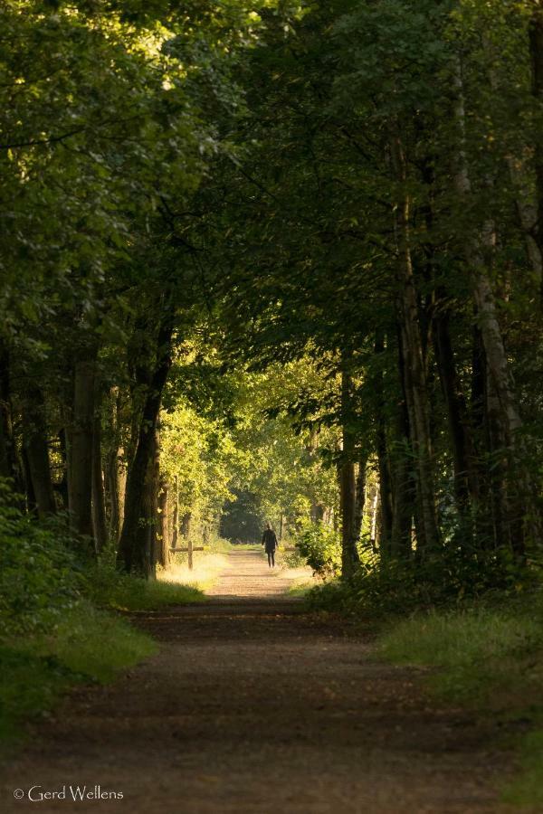 B&B De Grote Kievit Geel Esterno foto